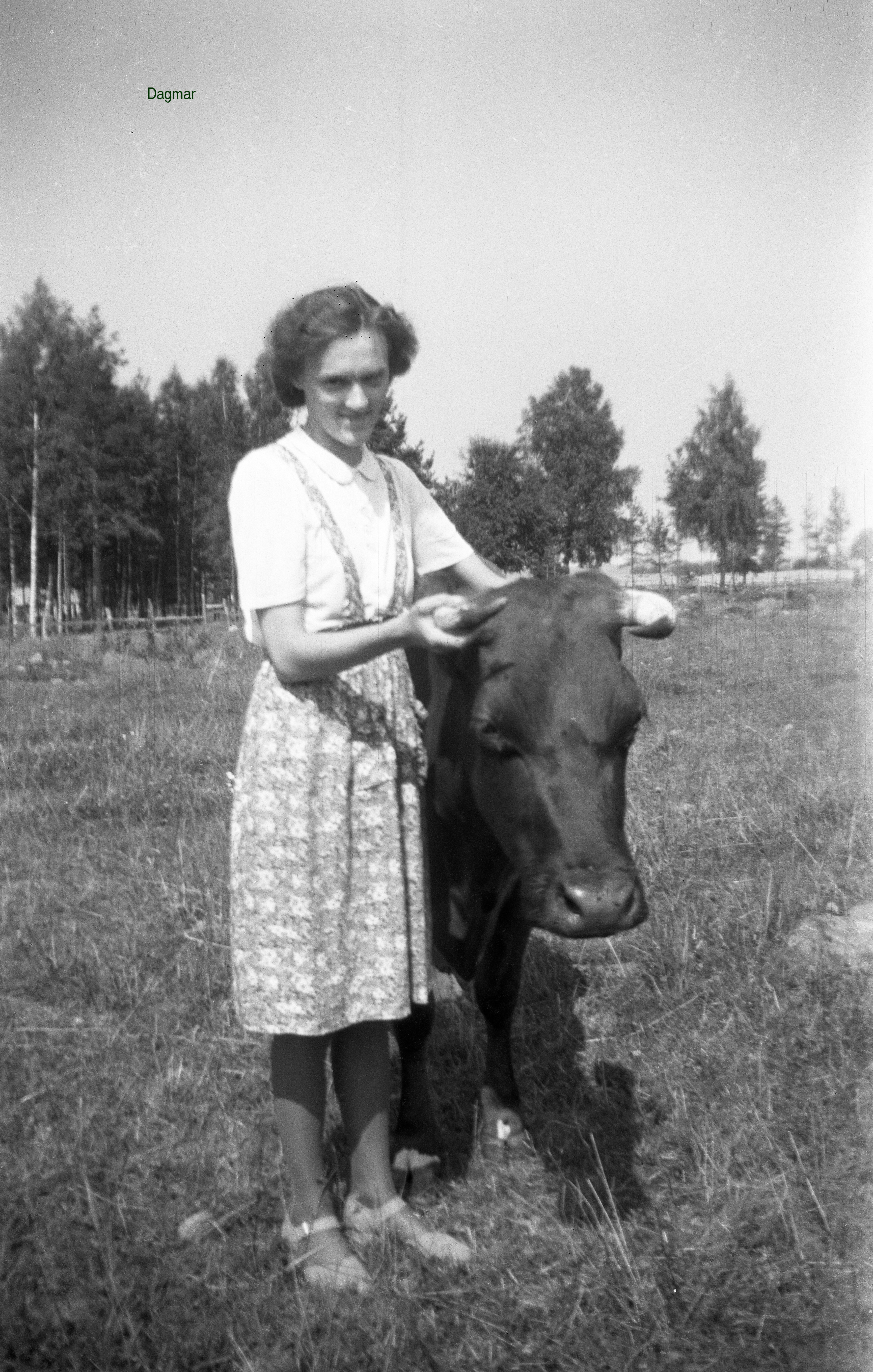 Dagmar
